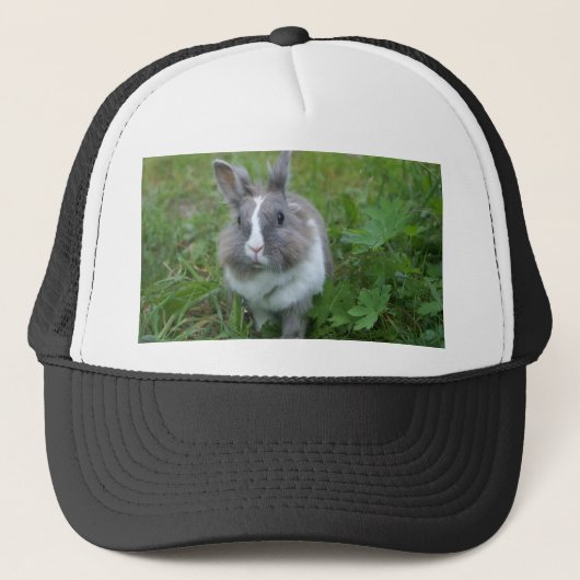 Casquette Lapin lapin (Devant)
