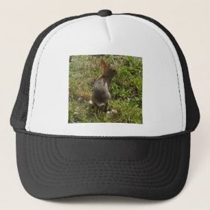 Casquette Lapin Lapin Lièvre Stups