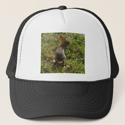 Casquette Lapin Lapin Lièvre Stups (Devant)