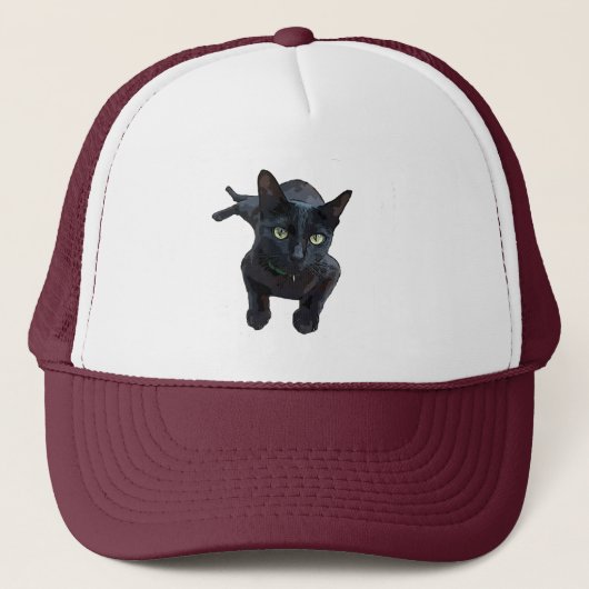 Casquette L'attrait fascinant du chat noir (Devant)