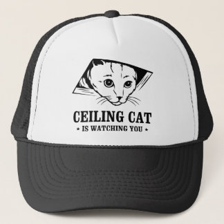 Casquette Le chat de plafond vous observe