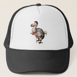 Casquette Le Dodo Bird