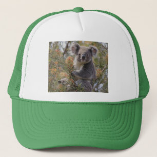 Casquette "Le paradis de Koala : niché dans un arbre de Grev
