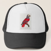 Casquette Le perroquet rouge gris, Psittacus erithacus (Devant)