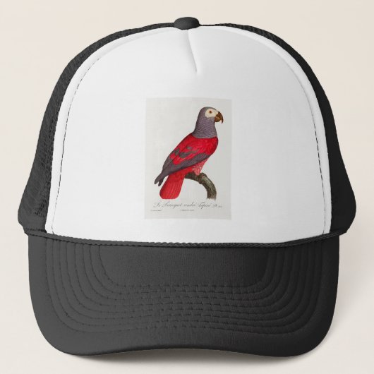 Casquette Le perroquet rouge gris, Psittacus erithacus (Devant)