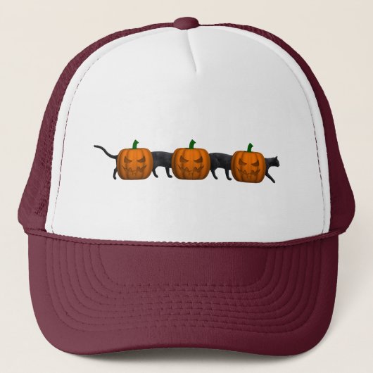 Casquette Le plus long chat du monde (Devant)