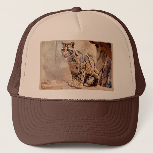 Casquette léopard nébuleux image nature faune exotique (Devant)