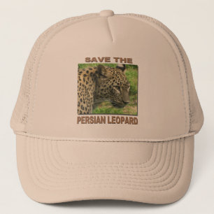 Casquette Léopard persan