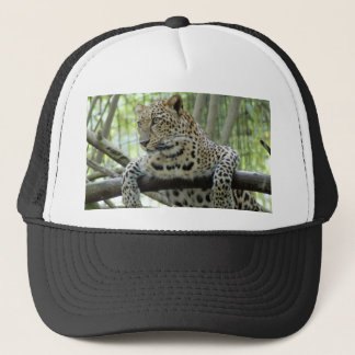 Casquette LeopardSundari_006