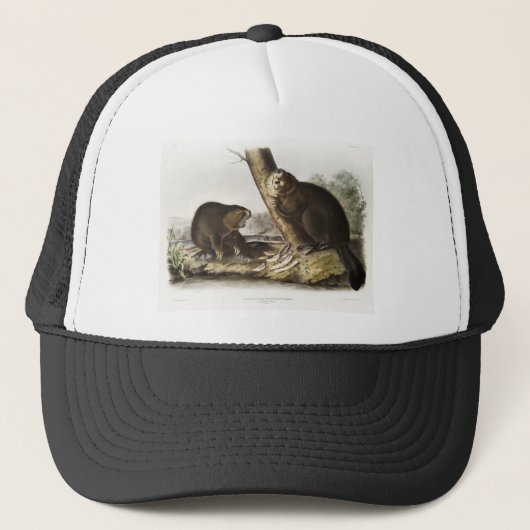 Casquette Les cadeaux American Beaver Camping Gear Deco (Devant)
