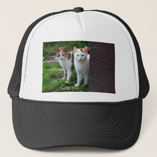 Casquette Les chats jouent (Devant)