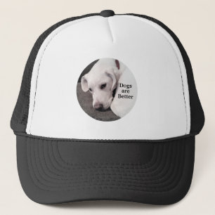 Casquette Les chiens sont mieux photographiés que les chiots