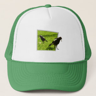 Casquette Les Magpie Birds Australiens,