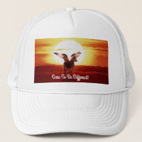 Lever de soleil Pegasus