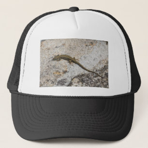 Casquette Lézard commun