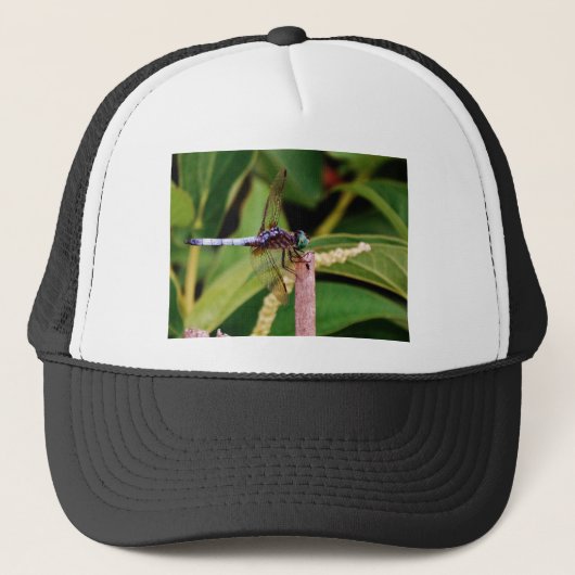 Casquette libellule avec fleurs blanches (Devant)
