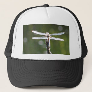 Casquette libellule gris clair