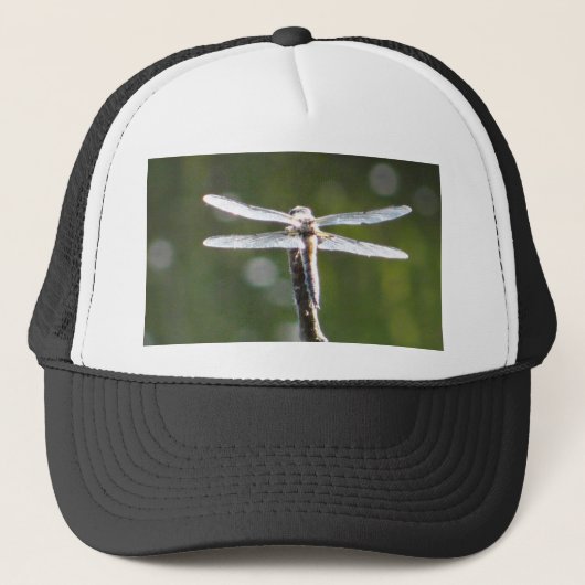 Casquette libellule gris clair (Devant)