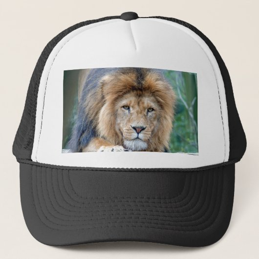Casquette Lion (Devant)
