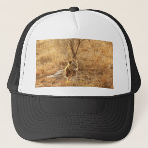 Casquette Lion