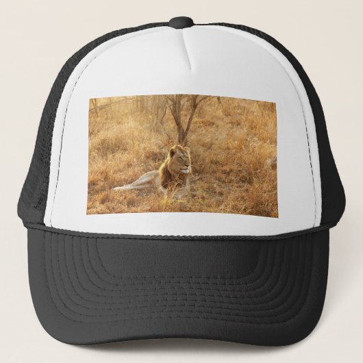 Casquette Lion (Devant)