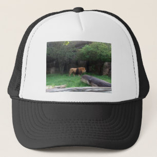 Casquette Lion