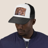 Casquette Lion africain (En situation)