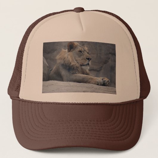 Casquette Lion africain (Devant)
