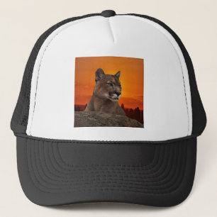 Casquette Lion de montagne au coucher du soleil