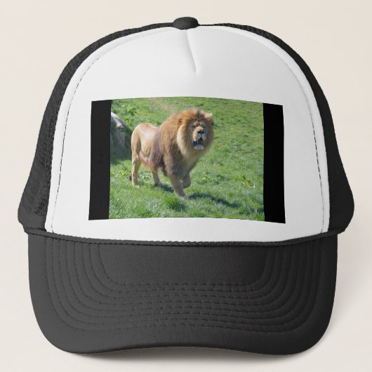 Casquette Lion marchant sur l'herbe (Devant)