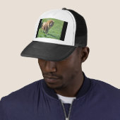 Casquette Lion marchant sur l'herbe (En situation)