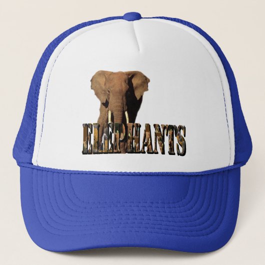 Casquette Logo d'image d'éléphants fait à partir d'éléphants (Devant)