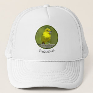 Casquette Loriole des vergers - Photographie originale