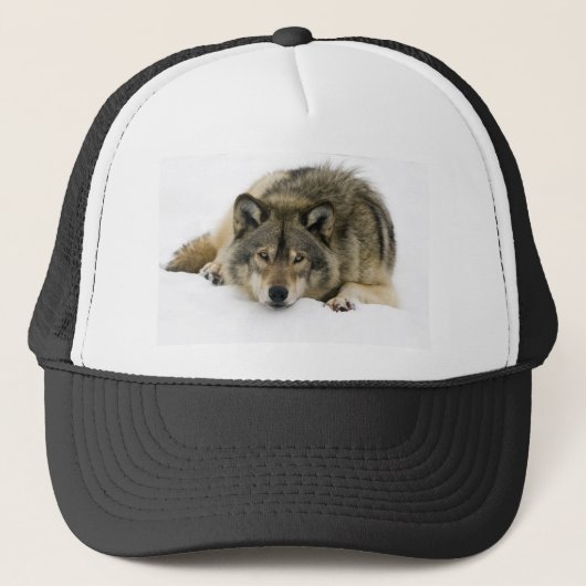 Casquette Loup (Devant)