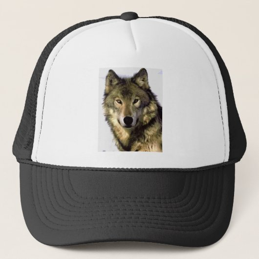 Casquette Loup gris (Devant)
