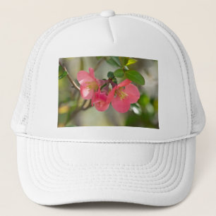 Casquette Luminosité de coing rose