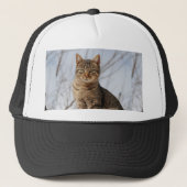 Casquette Mackerel Tabby Cat (Devant)