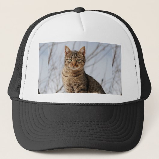 Casquette Mackerel Tabby Cat (Devant)