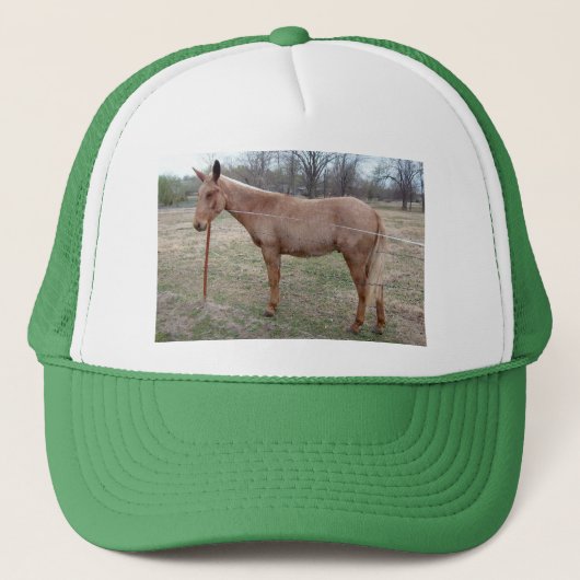 Casquette Magnifique Mule ! (Devant)