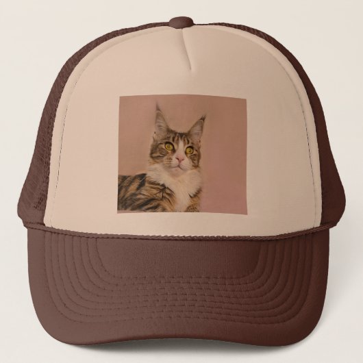 Casquette Maine Coon Tabby kitten photo (Devant)