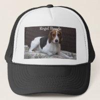 Casquette majestueux de chien de chasse de beagle