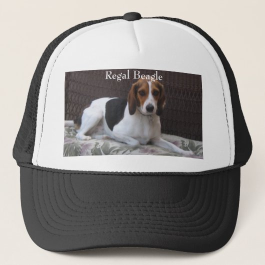 Casquette majestueux de chien de chasse de beagle (Devant)