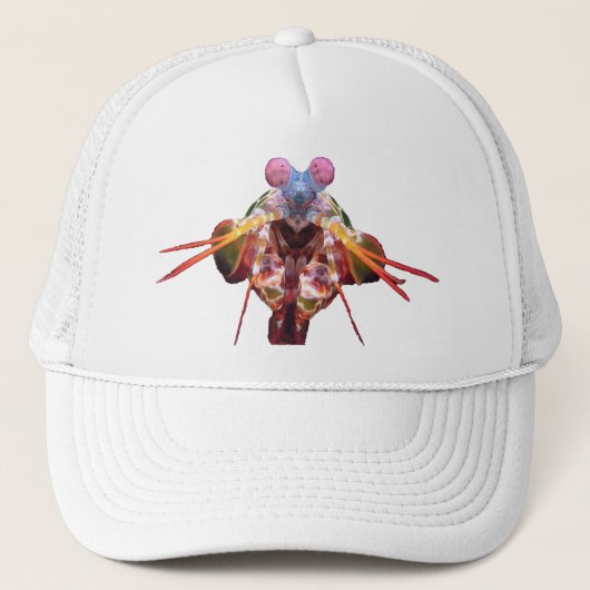 Casquette mante (Devant)