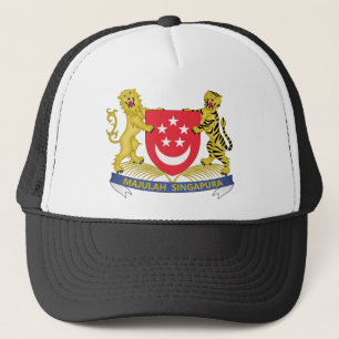 Casquette manteau de Singapour des bras