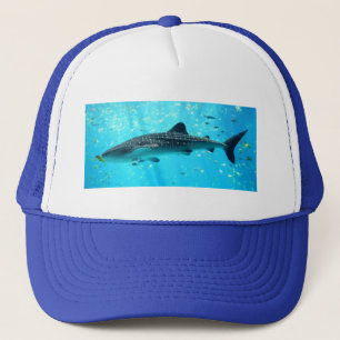 Casquette Marine Eau Chic Cool élégant Baleine Bleue Requin