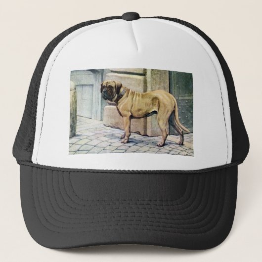 Casquette Mastiff (Devant)