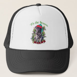 Casquette Mastiff 3 "Tis