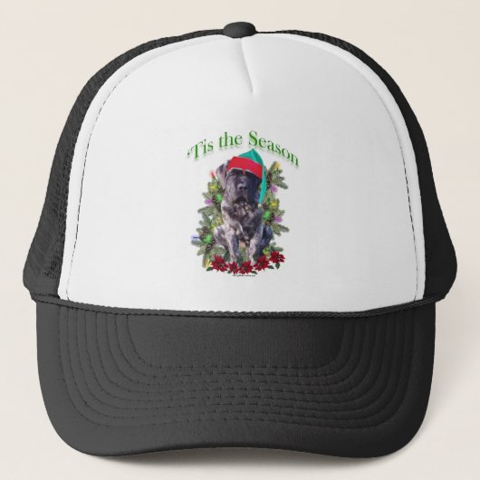 Casquette Mastiff 3 "Tis (Devant)