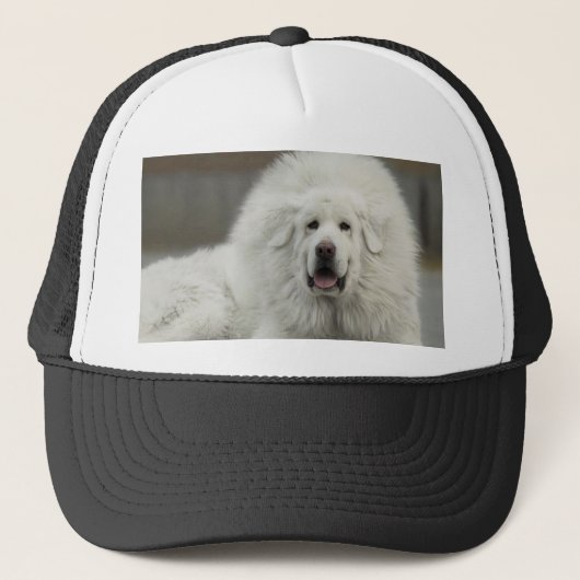 Casquette mastiff tibétain blanc frais (Devant)