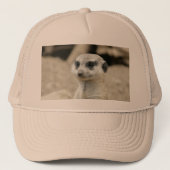 Casquette Meerkat (Devant)